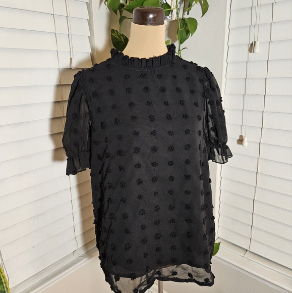 Sheer Polkadot Blouse - Picture 1 of 5